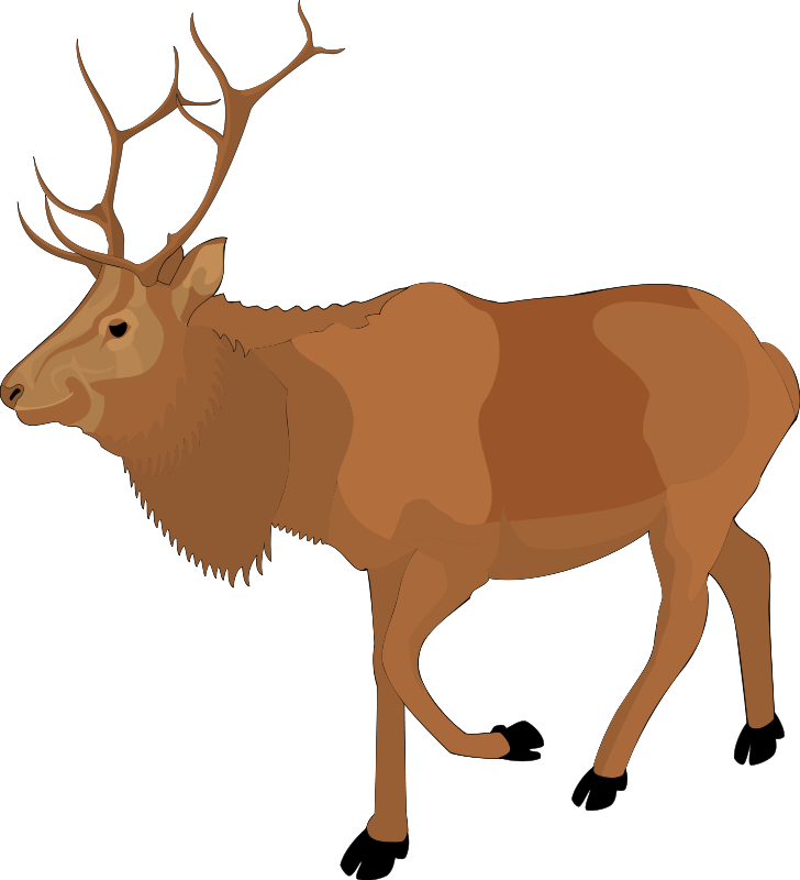 Download Animal (99129) Free SVG Download / 4 Vector