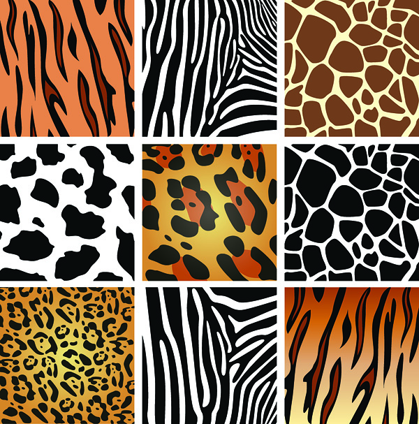 Animal skin texture background (16314) Free EPS Download / 4 Vector