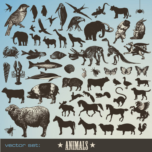 free vector Animals vector