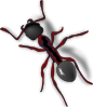 free vector Ant clip art