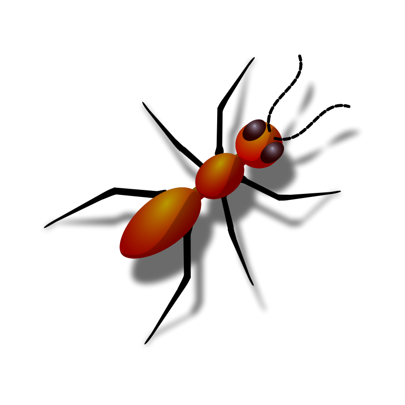 free vector Ant