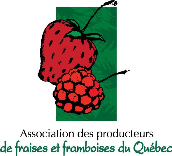 free vector APFFQ logo