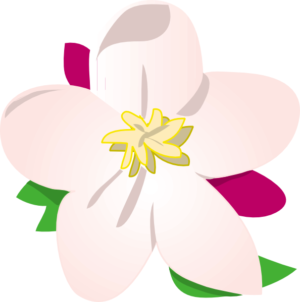 free vector Apple Blossom clip art