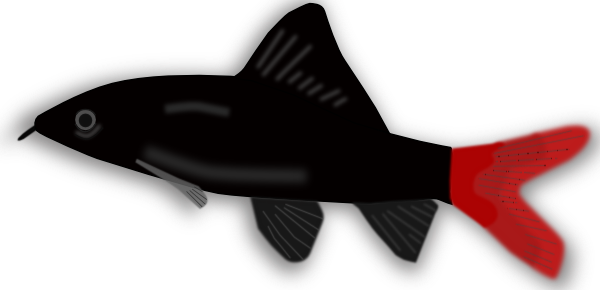 free vector Aquarium Fish Silhouette clip art