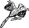free vector Archaeopteryx clip art