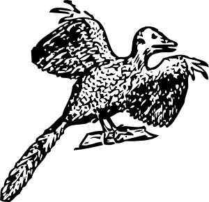 free vector Archaeopteryx clip art