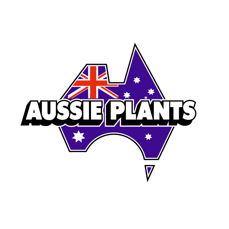 free vector Aussie plants