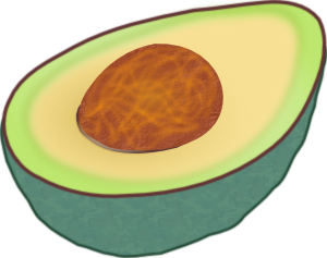 free vector Avocado clip art