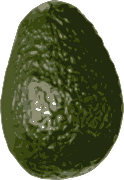 Avocado clip art (114688) Free SVG Download / 4 Vector
