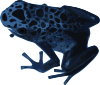 free vector Azureus Frog clip art