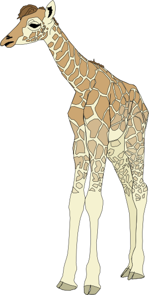 free vector Baby Giraffe clip art