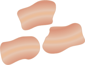 free vector Bacon clip art