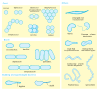 free vector Bacterial Morphology Diagram clip art
