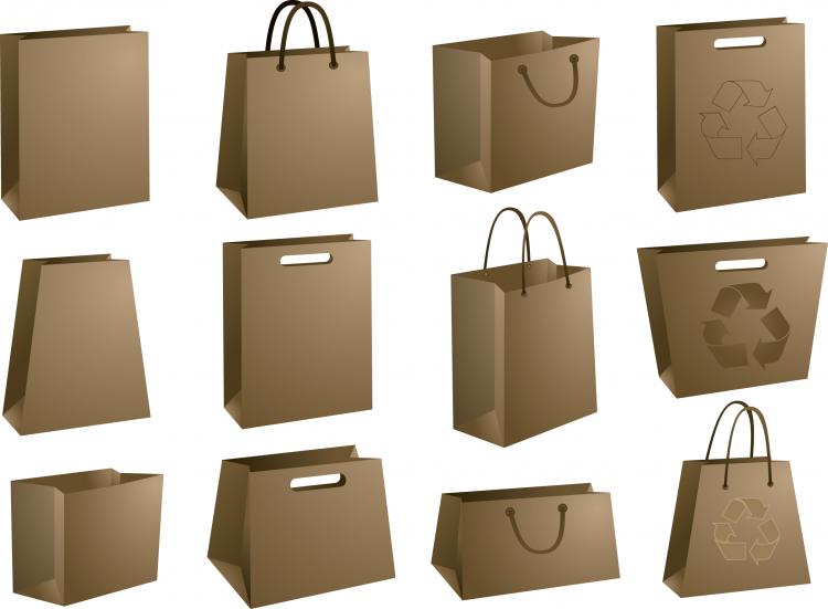 free vector Bag a variety of blank vector