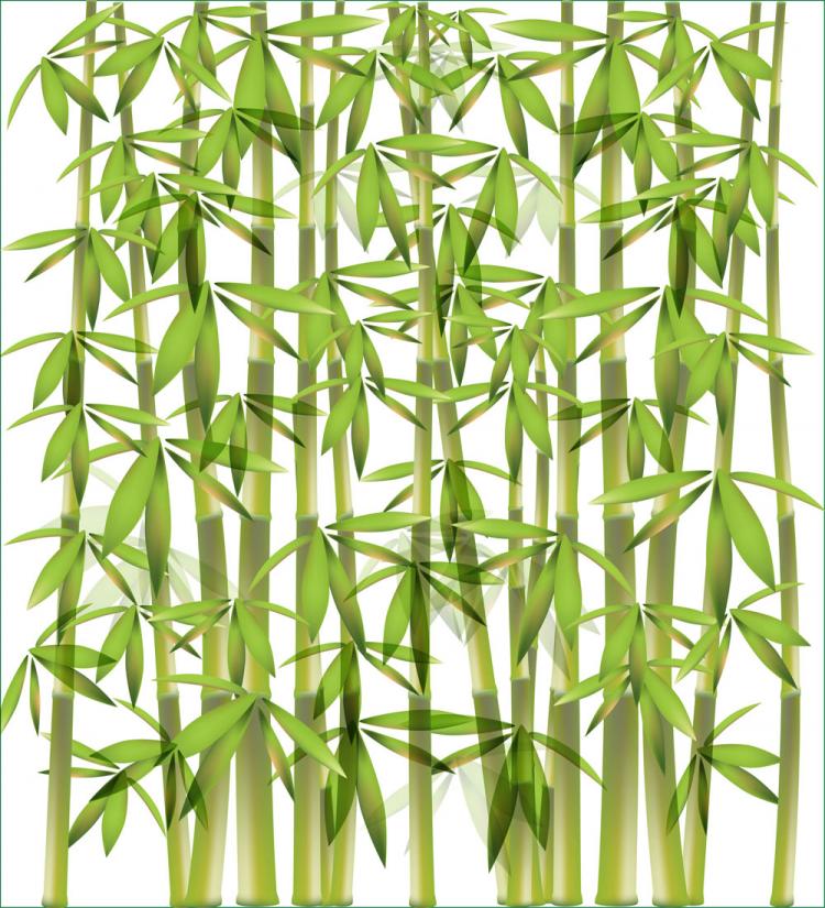 free vector Bamboo background 01 vector