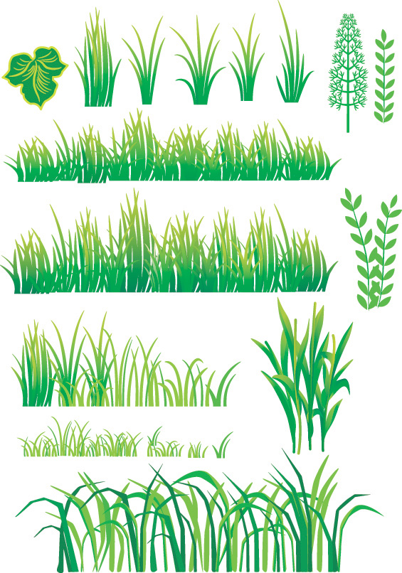 vector free download grass - photo #23