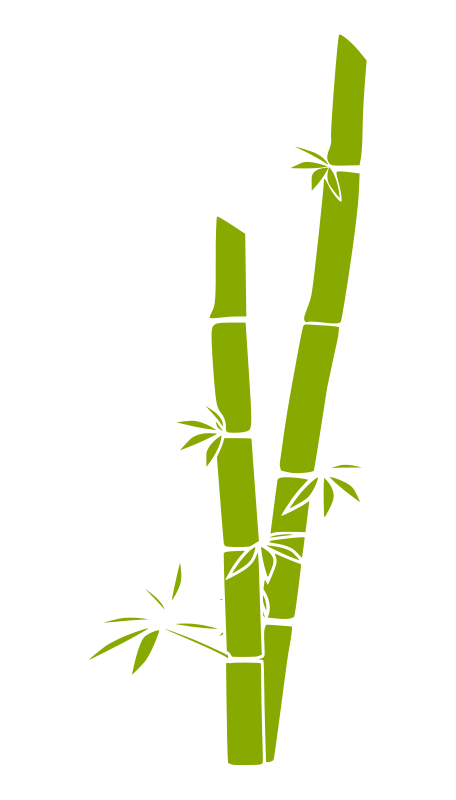 free vector Bamboo
