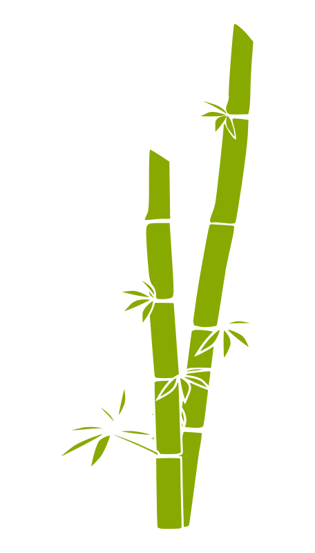 Bamboo Free Vector / 4Vector