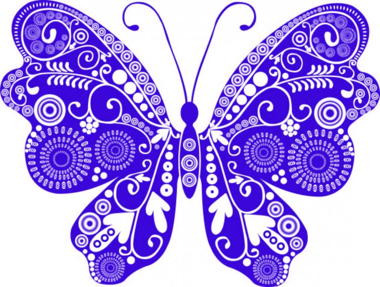 free vector Beautiful butterflies vector