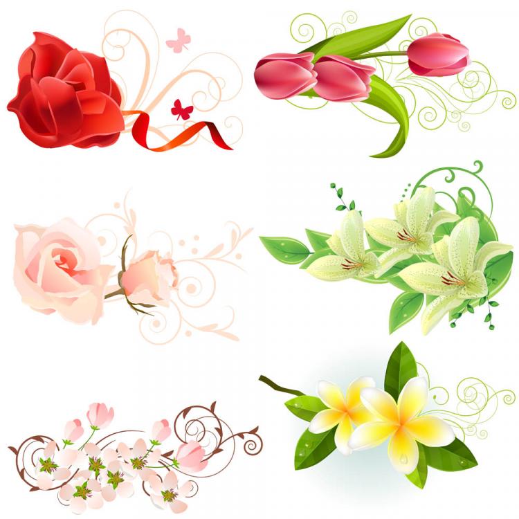 Beautiful flowers (20817) Free EPS Download / 4 Vector