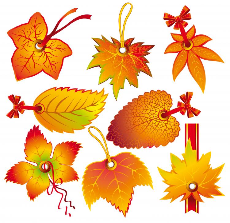 free vector Beautiful leaves 2 tag vector