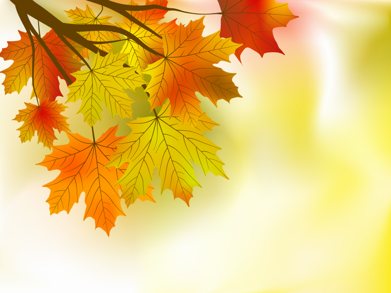 Beautiful maple leaf background (17713) Free EPS Download / 4 Vector