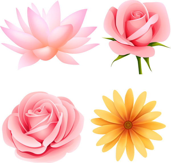 Download Beautiful small flowers (20810) Free EPS Download / 4 Vector