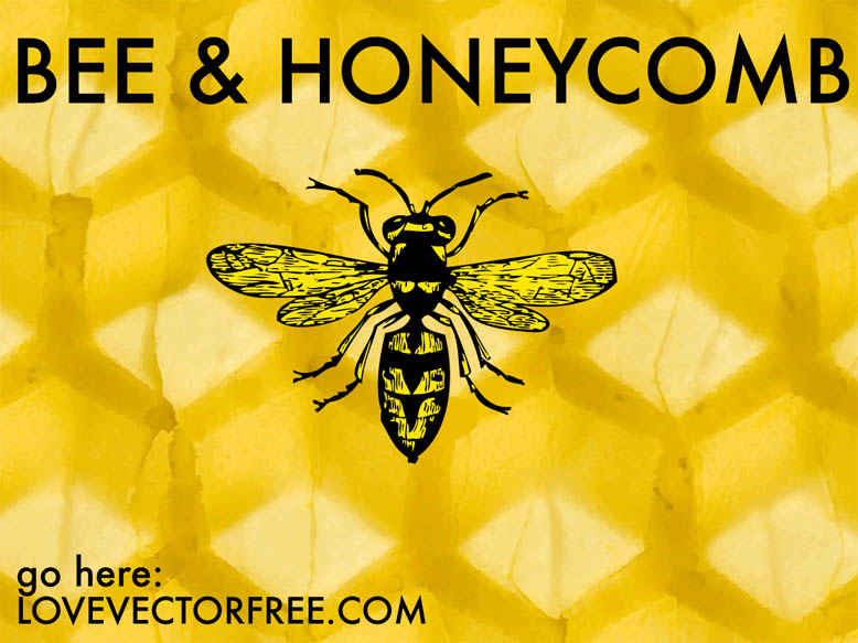 free vector Bee and Honeycomb