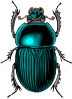 free vector Beetle Bug clip art