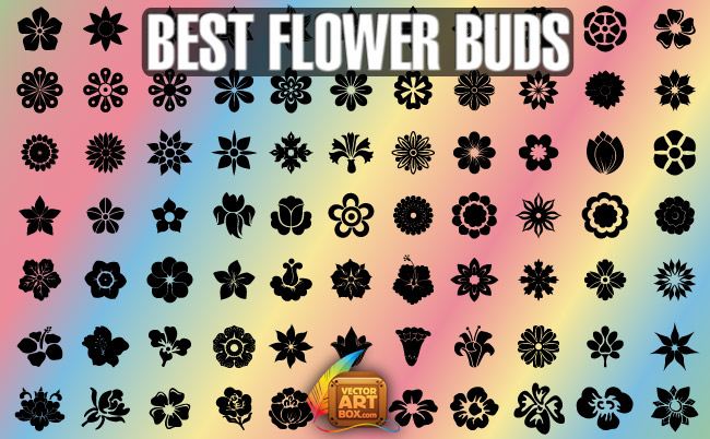 free vector Best Flower Buds