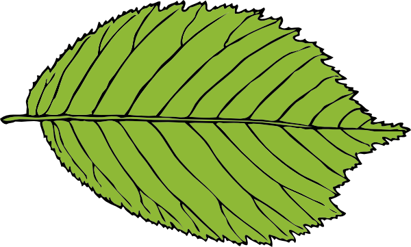 free vector Bi Serrate Leaf clip art
