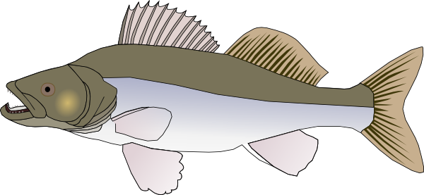 free vector Big Fish Candat Animal clip art