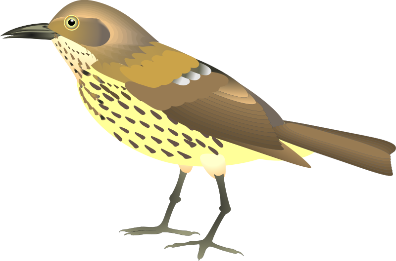 Download Bird (99719) Free SVG Download / 4 Vector