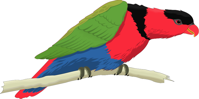 free vector Bird 56