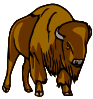 free vector Bison clip art