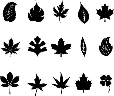 free vector Black leaves vector