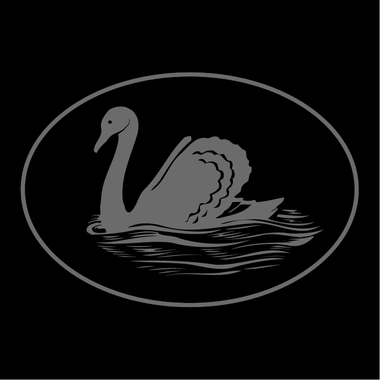 free vector Black swan