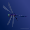 free vector Blue Dragonfly clip art