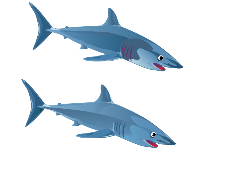 free vector Blue Shark