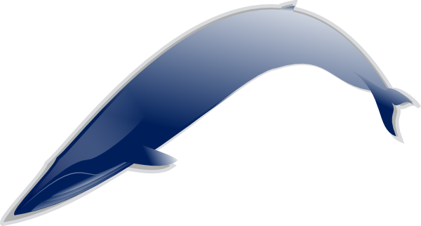 free vector Bluewhale Md clip art