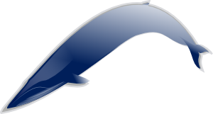 free vector Bluewhale Md clip art