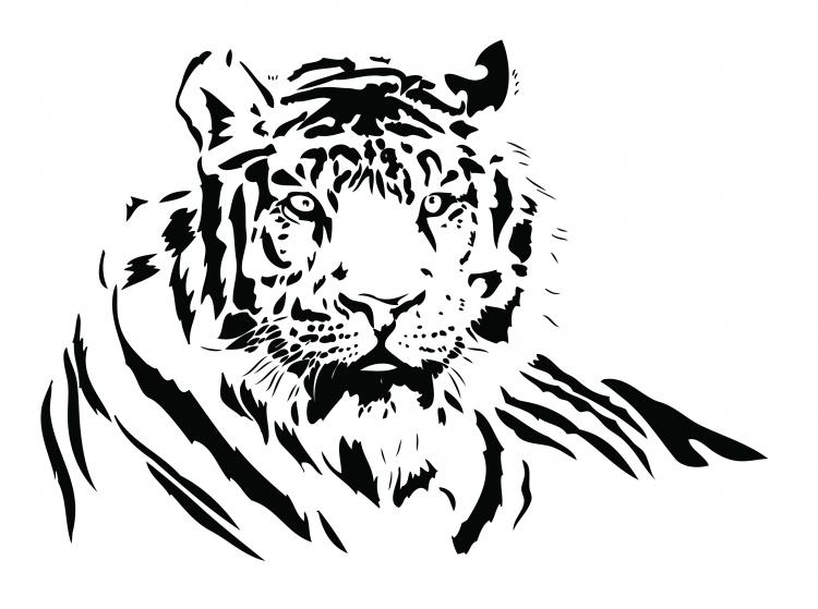 clip art free black and white tiger - photo #47
