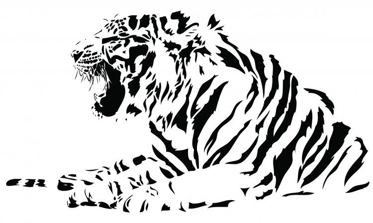 free vector Both black and white tiger vector