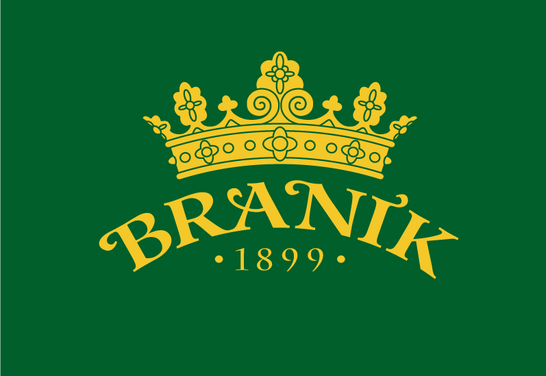 free vector Branik logo