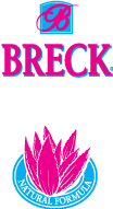 free vector Breck logo