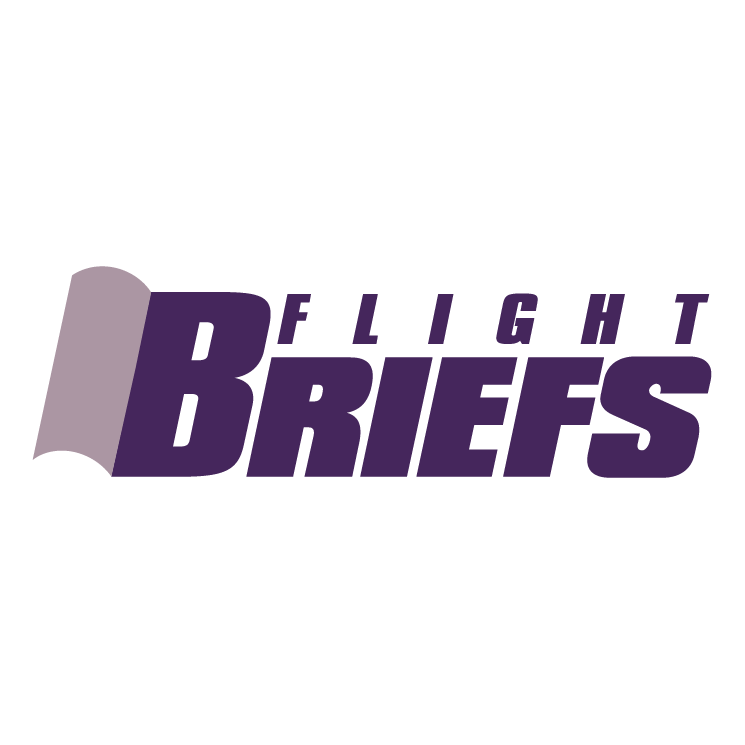 free vector Briefs flight