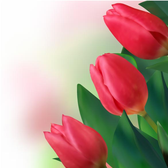 free vector Bright tulips 02 vector