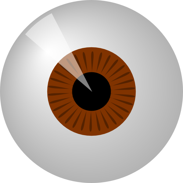 free vector Brown Eye clip art