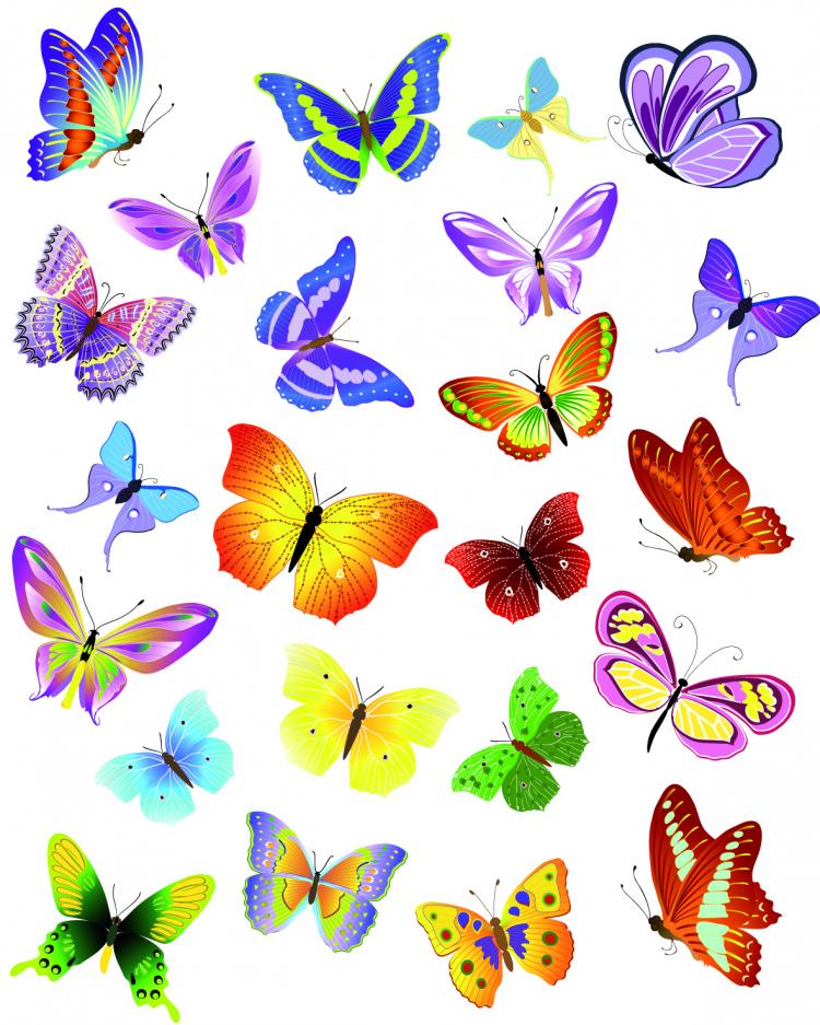 free vector Butterflies vector