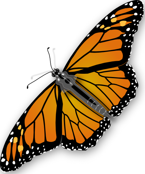 Download Butterfly clip art (107718) Free SVG Download / 4 Vector